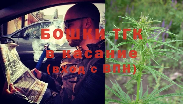 молекула духа Чердынь