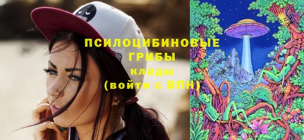 сатива Алексеевка